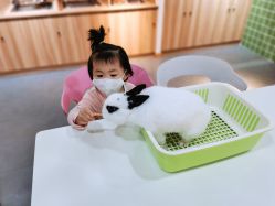 -Moni星球萌宠·小马宝莉·灵蛇·高端高阶全萌宠互动体验俱乐部(红豆国际广场店)
