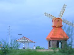 -杭州湾海上花田景区
