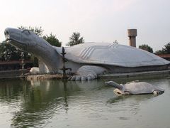 -东方巨龟苑景区