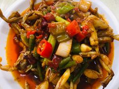 青蛙-小民大排档(马场角横路店)