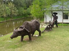 -上海长兴岛郊野公园