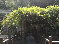 -天怡·鱼工厂(梅溪湖店)