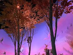 -中国湿地博物馆