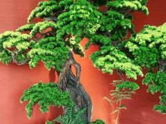 -阿伟海鲜楼·福建菜(延寿店)
