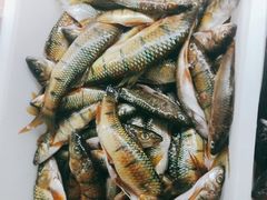 -畲乡一品鱼府土菜馆