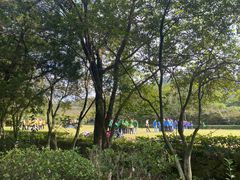 -白马涧龙池景区