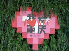 -WFC会仙楼观景台