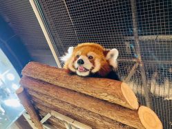 -Zoolung Zoolung动物主题公园(海信广场店)