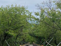 -妙峰山风景名胜区