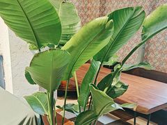 -爱丽格斯火锅(东岸国际店)