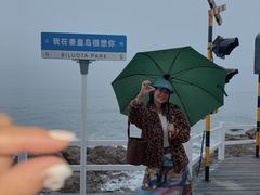 -北戴河碧螺塔海上酒吧公园