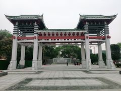 -王借岗森林公园