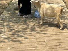 -盈香心动乐园