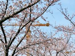-龙美术馆(西岸馆)