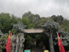 -王顺山国家森林公园