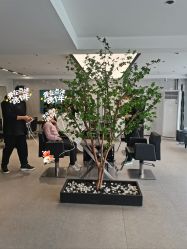 -付军剪艺JF ProSalon