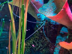 -沈阳海洋探索中心