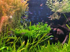 -上海海洋水族馆