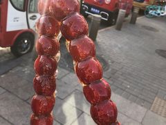 -和禄德冰糖葫芦