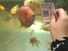 -中影国际影城(兰生大厦CINITY LED店)