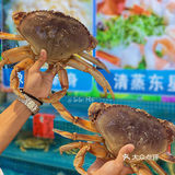趁夏天还在！阳光正好！再去海边一趟～