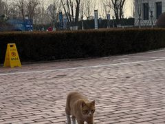 -金石蜡像馆