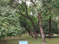 -元大都城垣遗址公园