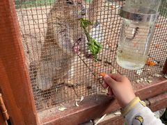 -呀路古热带植物园