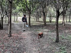 -蜀冈西峰生态公园