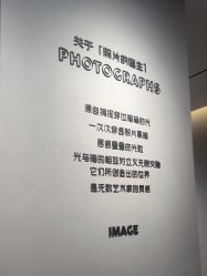-大树儿童摄影