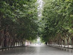 -西京医院