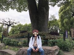 -韩湘水博园
