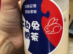 -猫的魔法密林(衣裳街店)