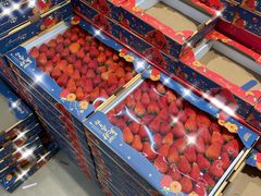 -鲜力达果品批发直销(青山店)