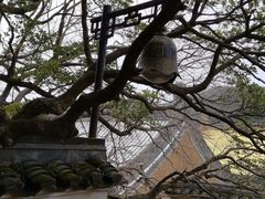 -普陀山慧济禅寺