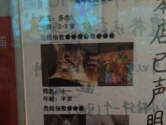 -逃脱反斗城沉浸剧情密室(北京路店)