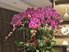 -花锦堂·隐庐