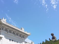 -天坛大佛