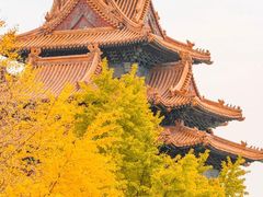 -故宫博物院(故宫)