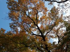 -楠溪江风景名胜区