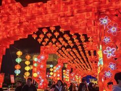 -泉城欧乐堡梦幻世界
