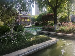 -青枫公园