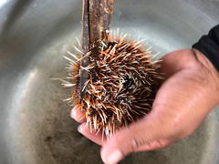 -QQ海鲜餐厅