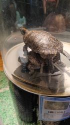 -酷嗒动物文化乐园(cutezoo西溪乐天城店)