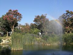 -武汉紫薇都市田园