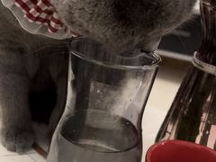 -花辰月夕花坊(北滨路店)