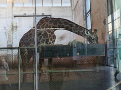 -石家庄市动物园