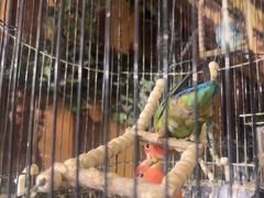 -西西里轰趴日租聚会别墅·团建拓展