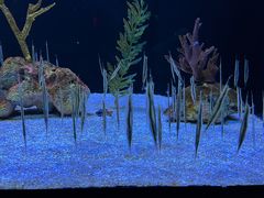 -上海海洋水族馆