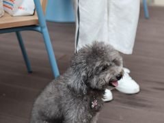 -Grande A'moo(上海万象城店)